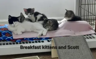 Syrup