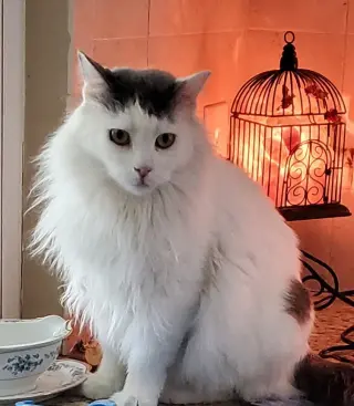Peter