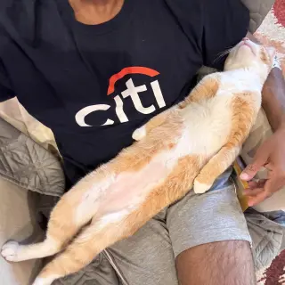 JP
