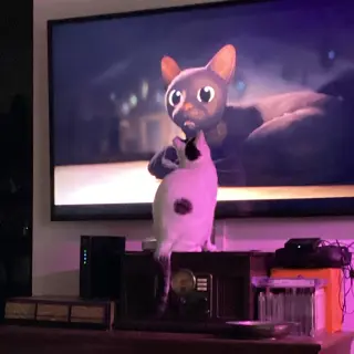 Suki