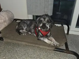 Tilly