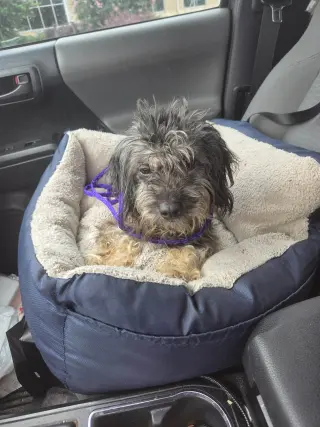 Tilly