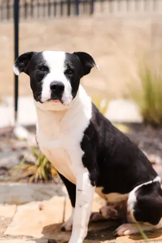 Diego