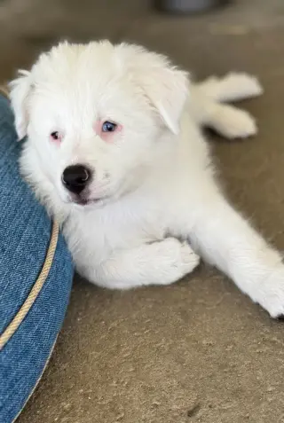Lucy
