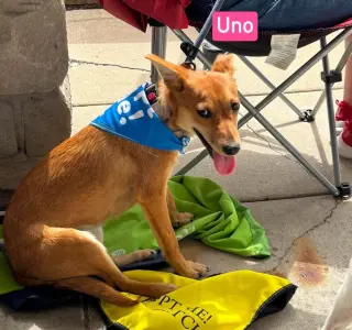 LH  Uno