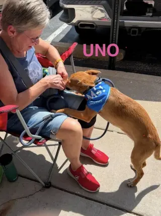 LH  Uno