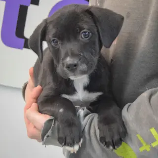 Aero