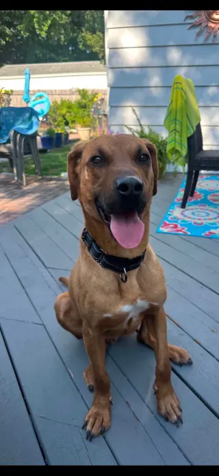 ATLAS