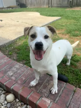 Banjo - tornado of fun