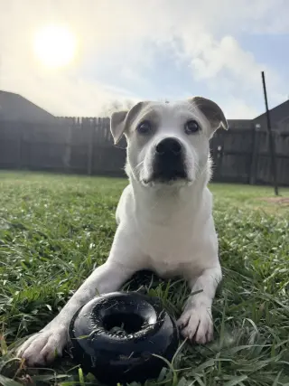 Banjo - tornado of fun