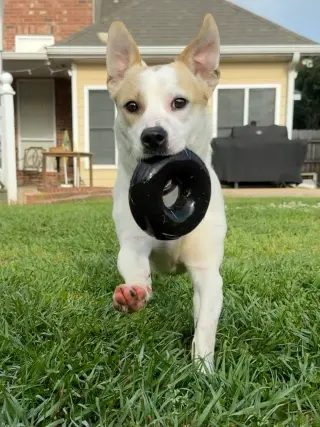 Banjo - tornado of fun