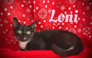 Loni