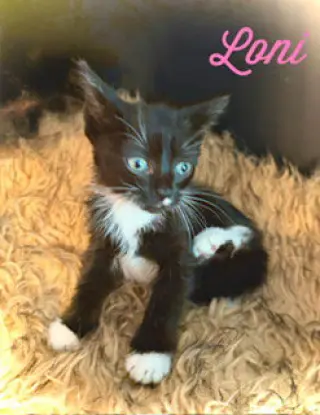 Loni