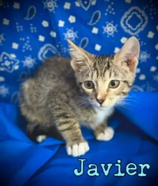 Javier