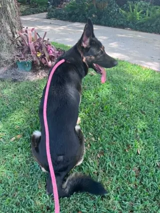 Bella 3165