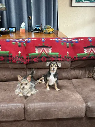 Mango & Papaya