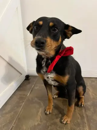 Gwinnie