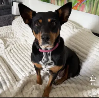 Gwinnie