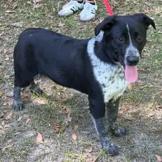 Ruffin