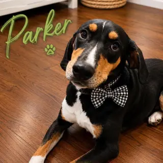 Parker