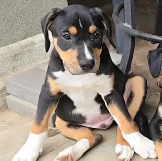 Parker