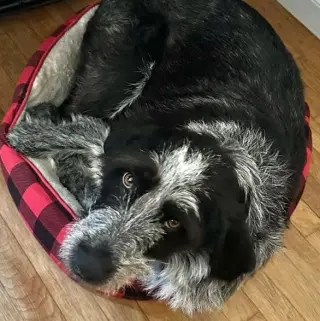 Libby Lou