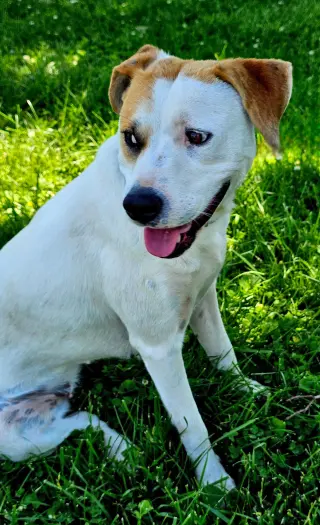 MIKA