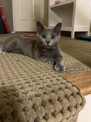 June (bonded with Calista)