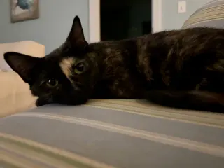 Rosie