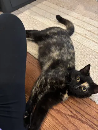 Rosie