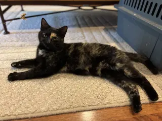 Rosie