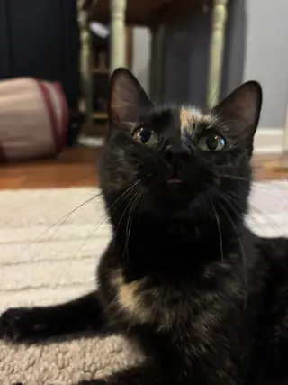 Rosie