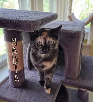 Nadia