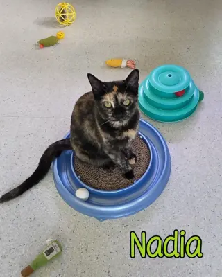 Nadia