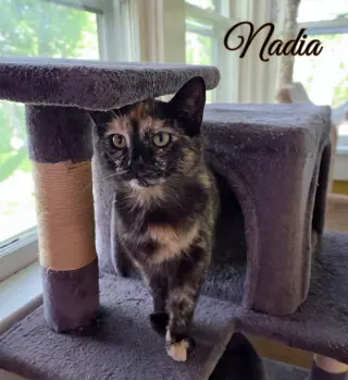 Nadia