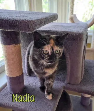 Nadia