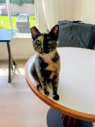 Twix
