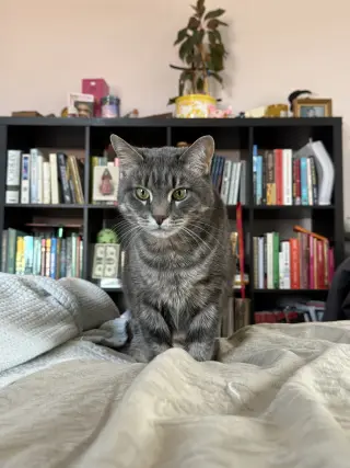 Gerty