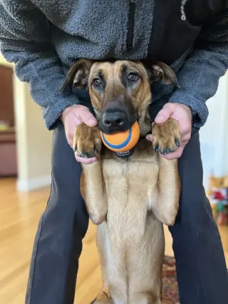 Cooper