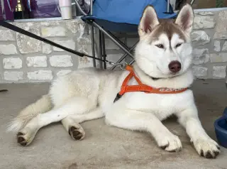 Zeus