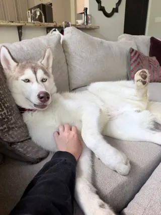 Zeus