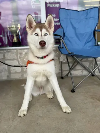 Zeus