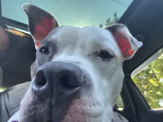 Corbin