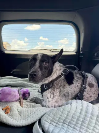 Jax