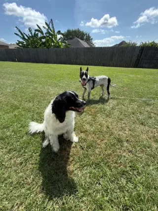 Jax