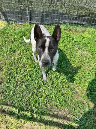 Jax