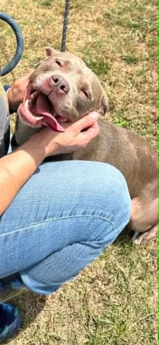 Julie