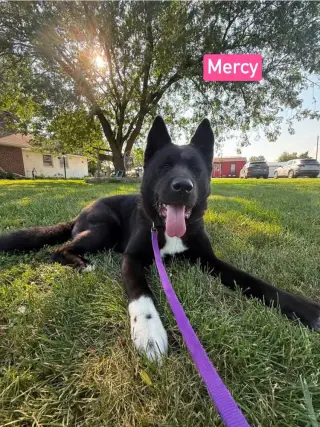 Mercy