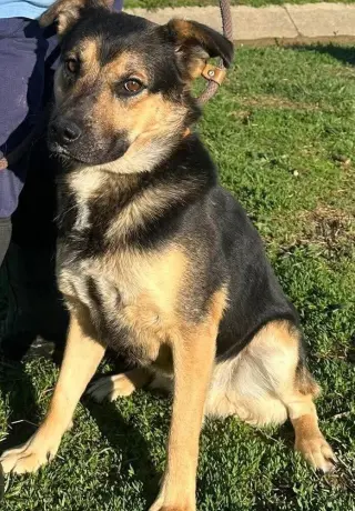 Zane