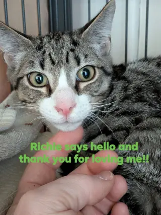 Richie